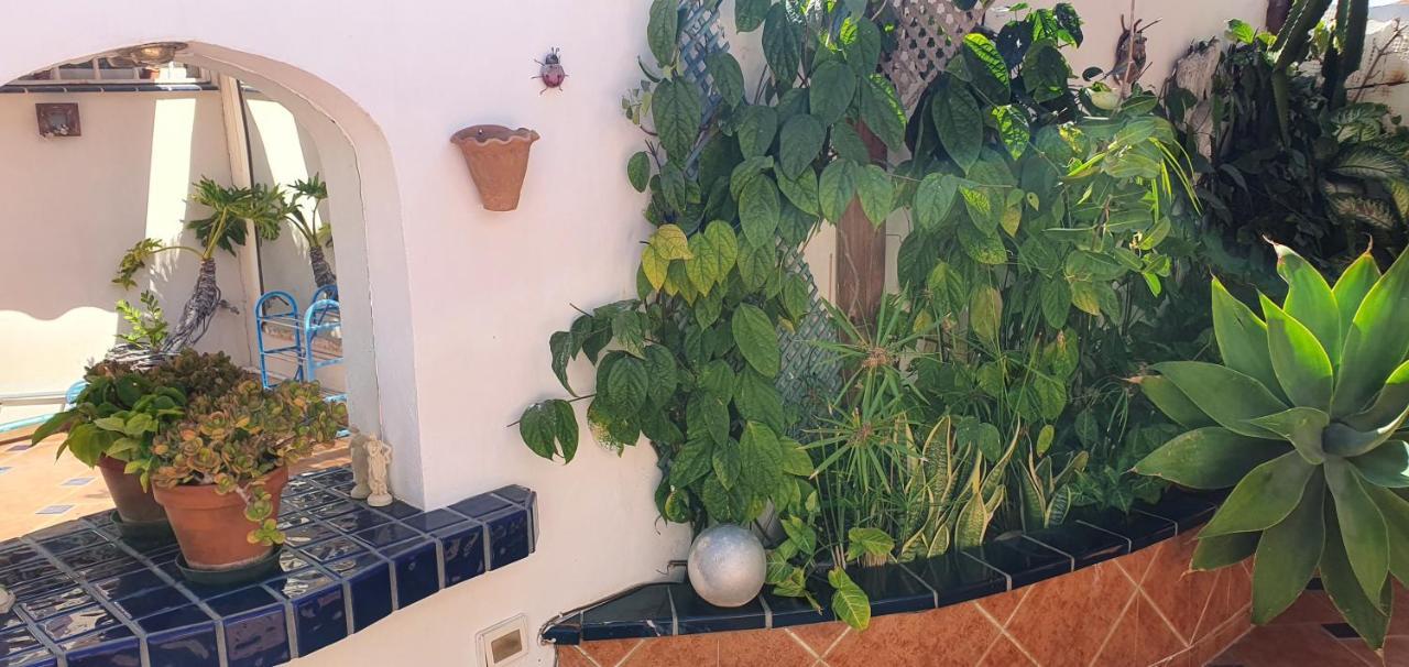Villa Violetta Callao Salvaje Dış mekan fotoğraf